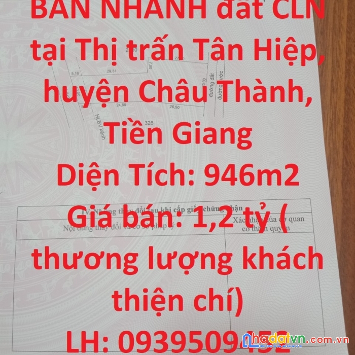 Bán nhanh đất cln tại tt tân hiệp, tiền giang