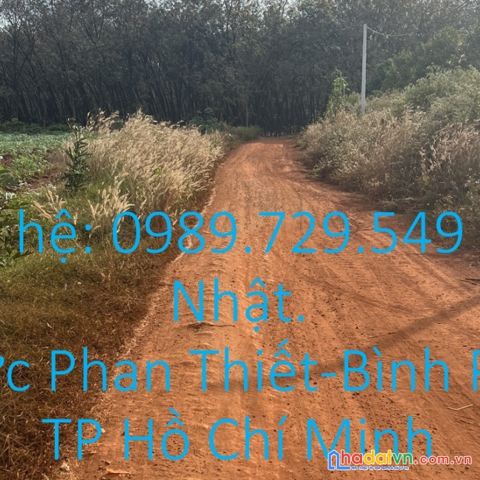 Cần bán gấp đất nền shr khu vực lộc ninh - bình phước