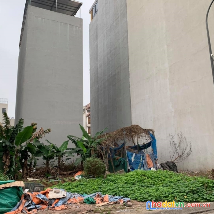 Bán đất dịch vụ dương nội, hà đông, view vườn hoa, 50m2, mt5m giá 6.5 tỷ