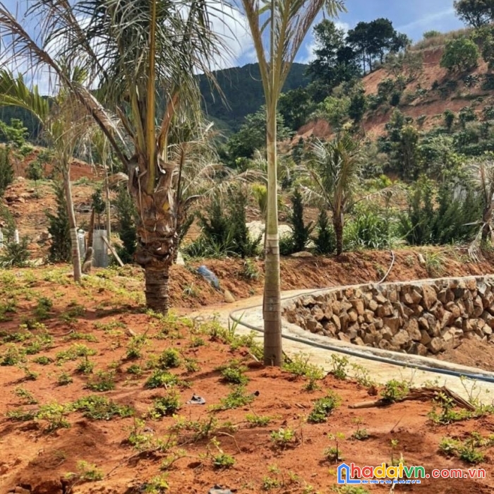 Bán khu du lịch tại lâm hà cách đà lạt 20km chỉ 22 tỷ