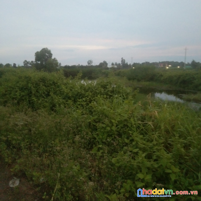 Bán đất vị trí đẹp tại tham đôn, mỹ xuyên, sóc trăng