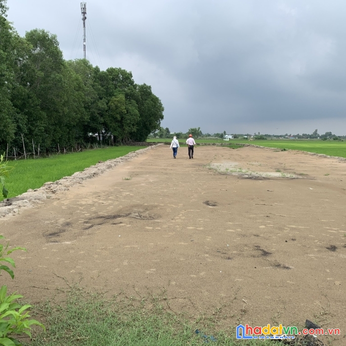 Bán đất thổ cư tại đường huyện 922 trường thọ,xuân thắng, thới lai, cần thơ