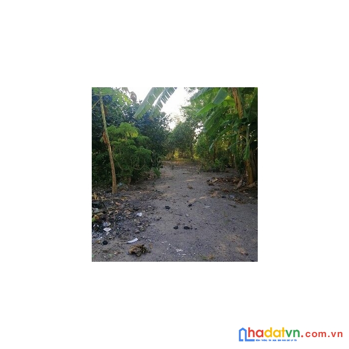 Chính chủ cần bán nhà đất xã an bình, phú giáo, bình dương