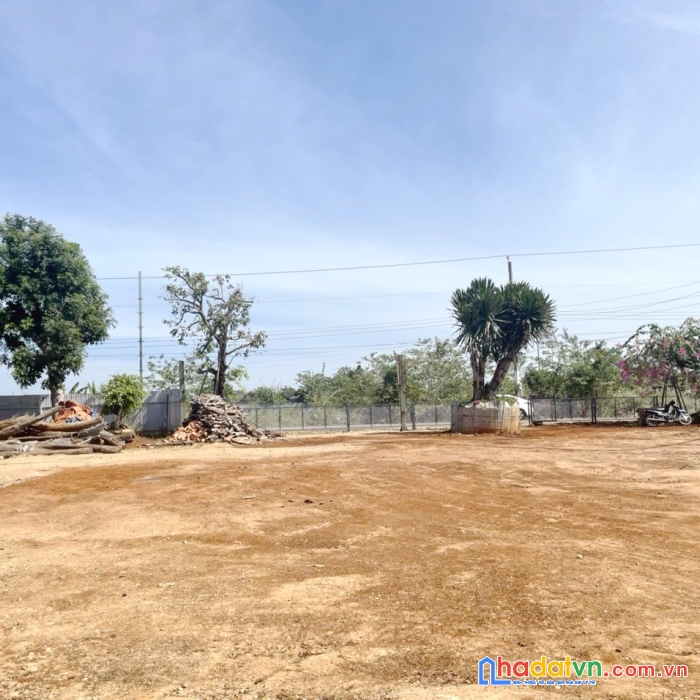 Cho thuê  2000m², 66m mặt tiền đường nhựa 8m xã hòa long, tp. bà rịa