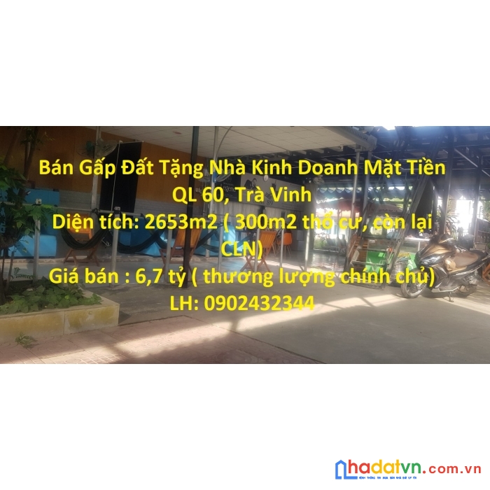 Bán gấp đất tặng nhà kinh doanh mặt tiền ql 60, trà vinh