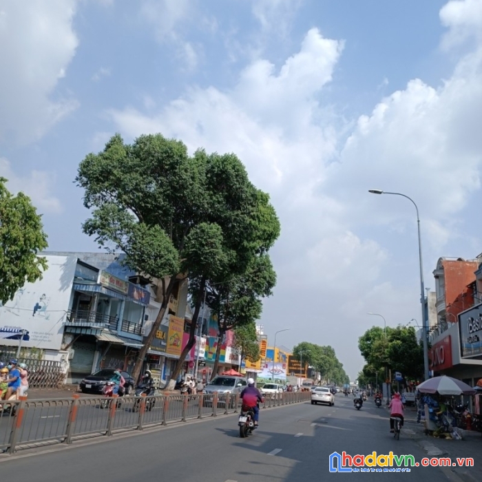 Bán nhà mặt tiền quang trung gò vấp 98m2 sử dụng ngã 5 chuồng chó 9 tỷ 8