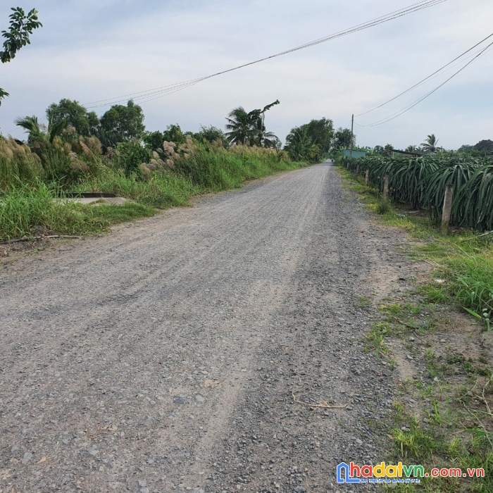 Cần bán đất thổ làm nhà vườn 850 m2 châu thành long an giá 1,350 ty