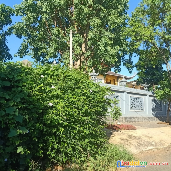 Sở hữu ngay lô đất đẹp vị trí đắc địa tại đường tạ quang bửu phường thành nhất , tp buôn ma thuột