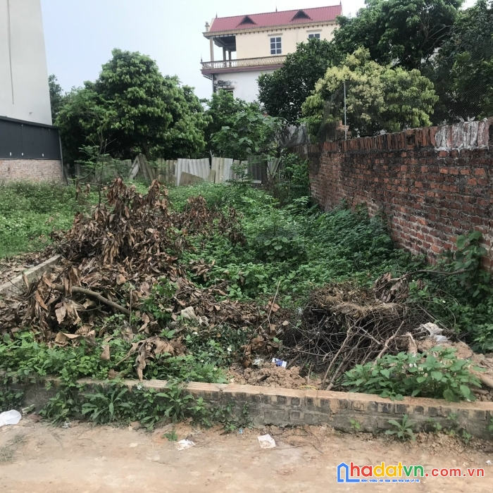 86m sát bìa làng thái đường-hiền ninh đường 5m giá chỉ hơn tỷ