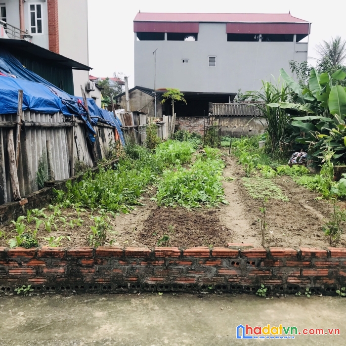 Bán tháo hơn100m đình trung-xuân nộn ôtô tải đỗ cửa chỉ 2x nhỏ xíu