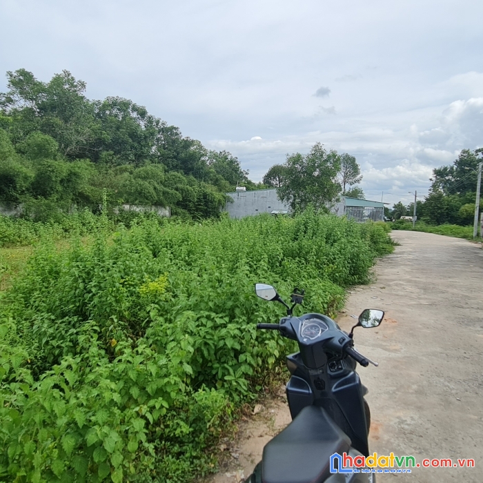 Cần bán đất full thổ sổ sẳn tại thạnh đức gò dầu