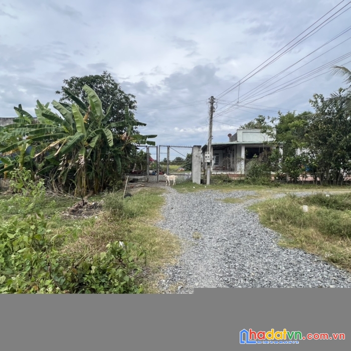 Cần bán đất chính chủ dương minh châu