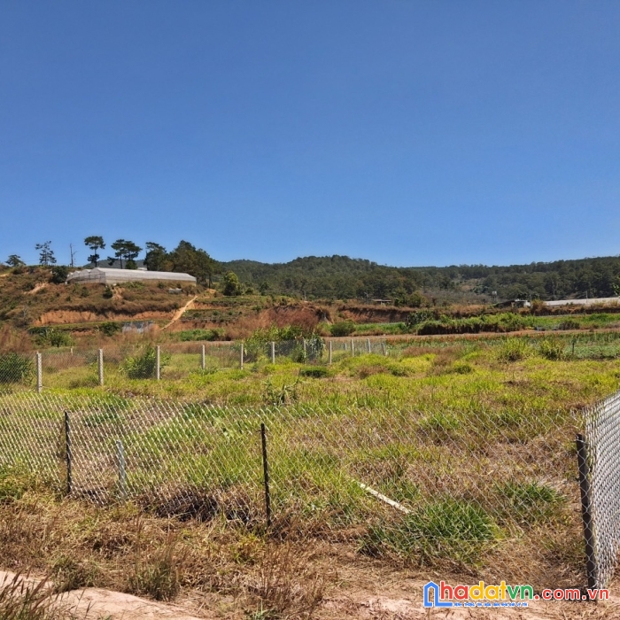 ( gấp gấp ) cần tiền bán gấp 510m2 đất sổ riêng đường mimoza, đà lạt giá 3.2 tỷ