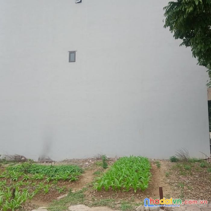 Bán đất phân lô dương nội, hà đông, 100m2, mt10m, ô tô, lô góc giá 13.5 tỷ
