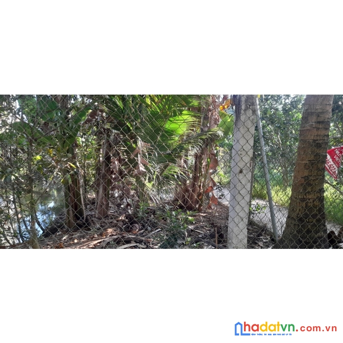 Chính chủ cần bán nhanh đất vị trí đẹp tại xã tường đa, châu thành, bến tre