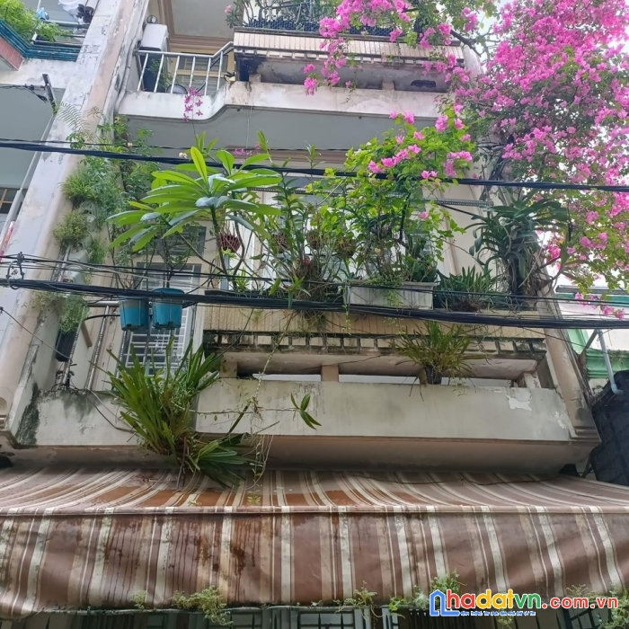 Bán nhà 3 tầng đường thoại ngọc hầu, hẻm xe hơi, 43m2 chỉ 5.2 tỷ