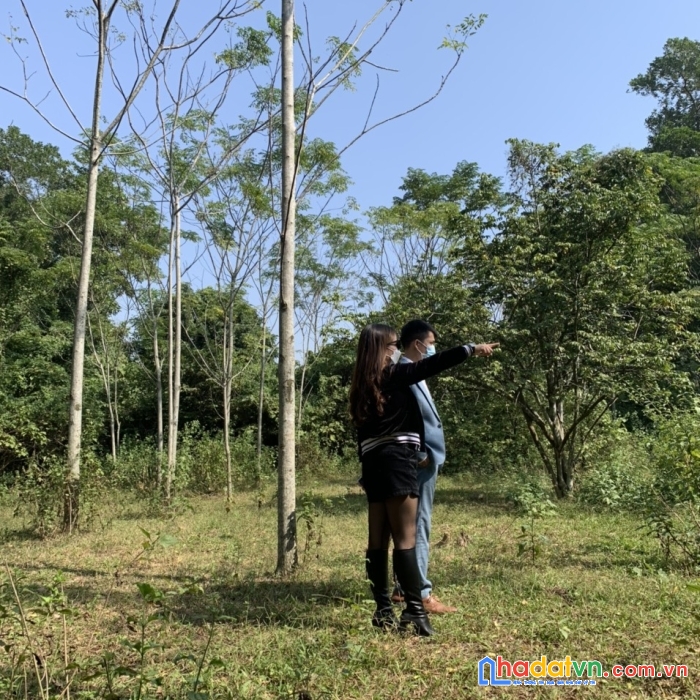 Đầu năm e lên lô đất đẹp tại tam điệp, ninh bình cho các anh/chị đầu tư