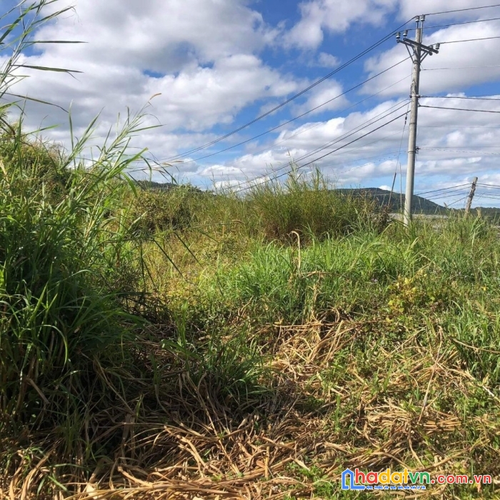 Cần tiền bán gấp đất nền biệt thự đường đường cao thắng, đà lạt 296m2 giá 3.8 tỷ