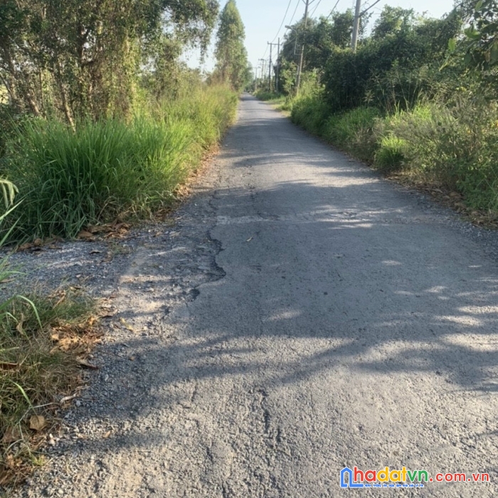 Chính chủ cần bán đất ở xã  tân nhựt - bình chánh-tp hcm