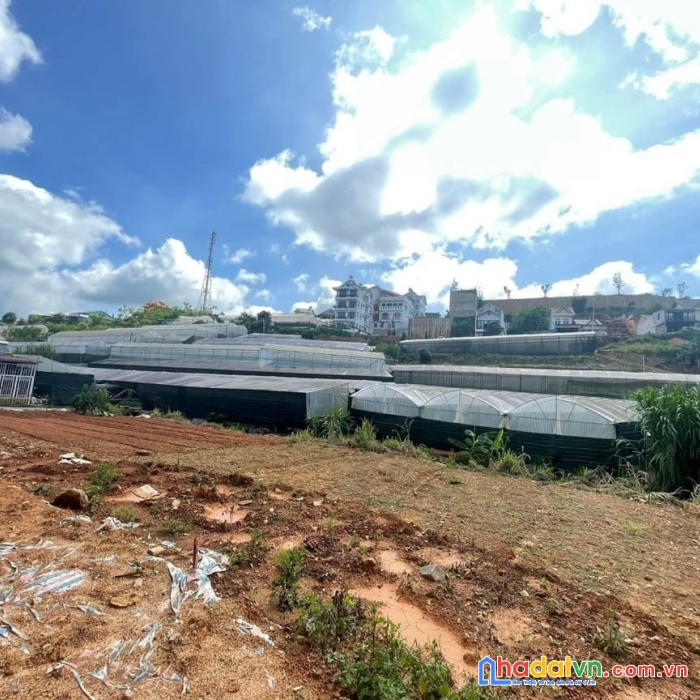 ( gấp gấp ) cần bán 180m2 đất sổ nn view cực kỳ đẹp nam hồ, đà lạt