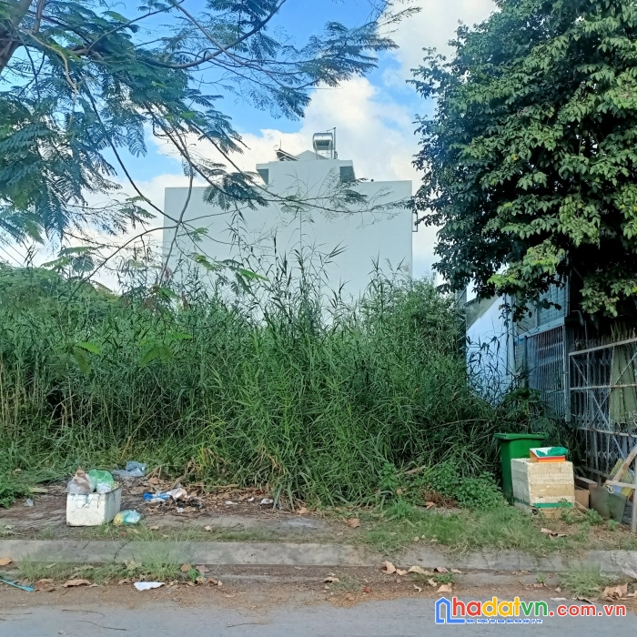 Bán lô đất nền khu dân cư phong phú 4, diện tích 125m mặt tiền đường số 19 , lô đẹp, vị trí đẹp