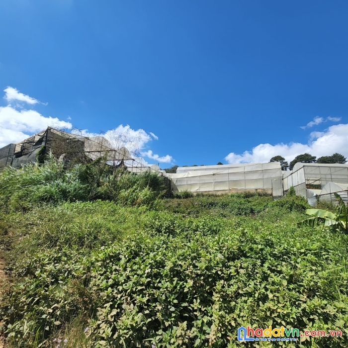 Cơ hội sở hữu 300m2 đất view thoáng chỉ 4.2 tỷ đường lâm văn thạnh, đà lạt