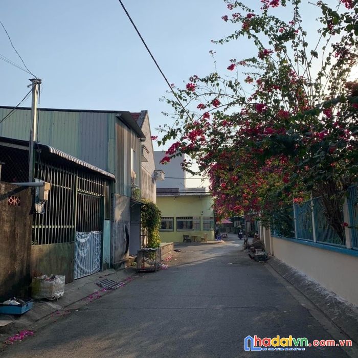 Bán nhà hxh thông tứ tung lê văn lương nhà bè. dt 5x28. nhỉnh 6 tỷ. shr-tiện xây chdv