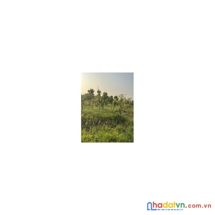 Bán gấp mảnh đất mặt đường ql6a