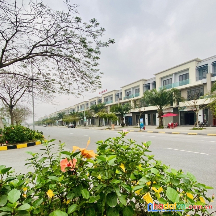 Đầu tư shophouse 120m2 centa city cho thuê lợi nhuận kép ngay trung tâm công nghệ cao vsip bắc ninh