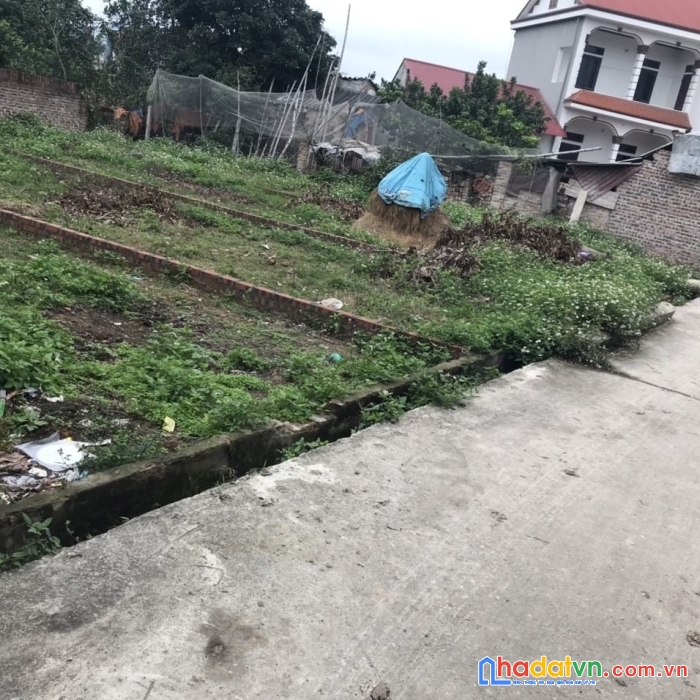 Trục chính đường 3.5m bán 59.5m thôn chùa nấu- hiền ninh - sóc sơn, giá 8xxtr.