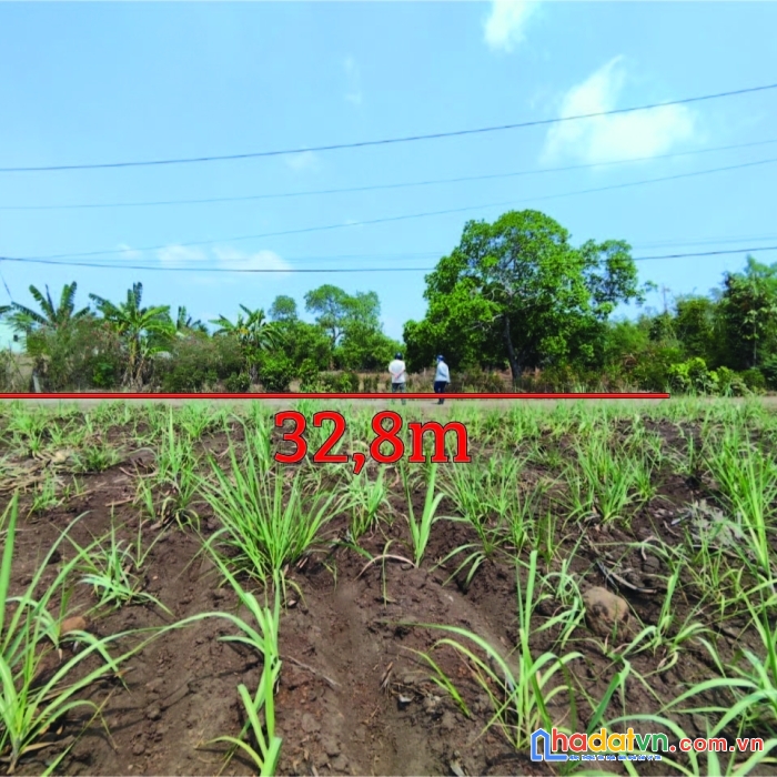 Cần bán lô đất 6033m2 chính chủ tại xuân lộc