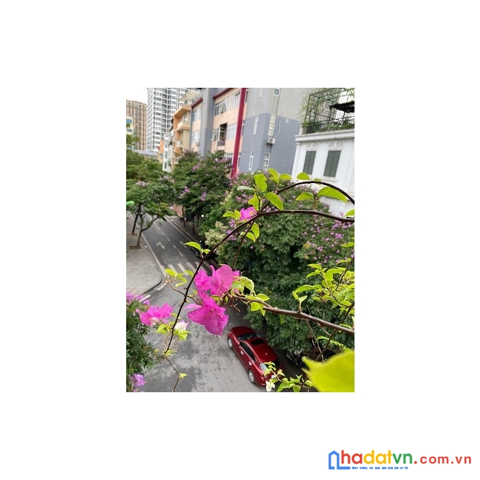 Chính chủ cần cho thuê phòng tầng 4 địa chỉ trần quang diệu, ô chợ dừa, quận đống đa
