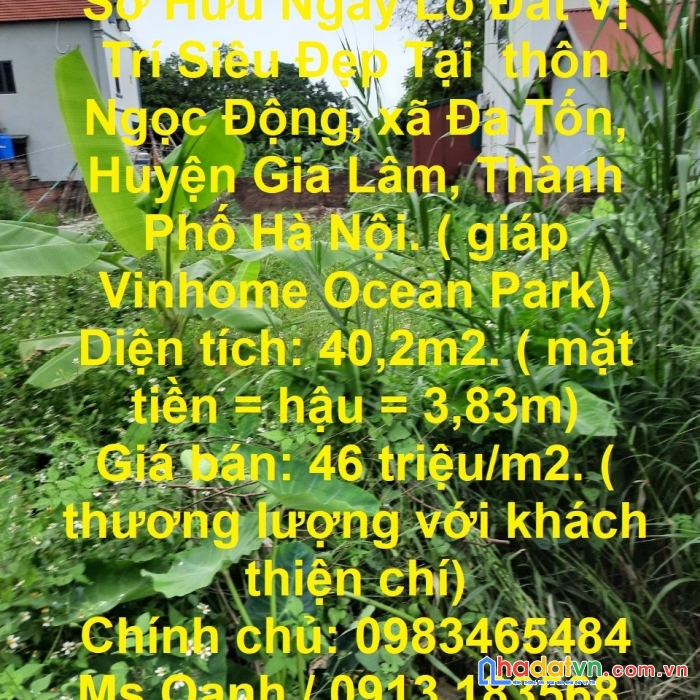 Sở hữu ngay lô đất vị trí siêu đẹp tại huyện gia lâm, thành phố hà nội.