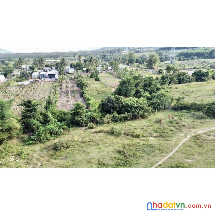 550k/m2 đất suối tiên, diên khánh, nha trang