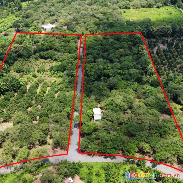 Cần bán 1 sào đất vườn xã ngọc định, định quán, đồng nai