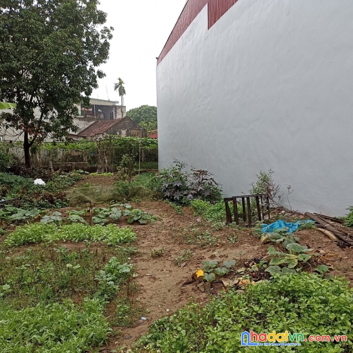 Bán nhanh lô đất chính chủ vị trí đẹp tại phố kim đằng, phường lam sơn, tp hưng yên