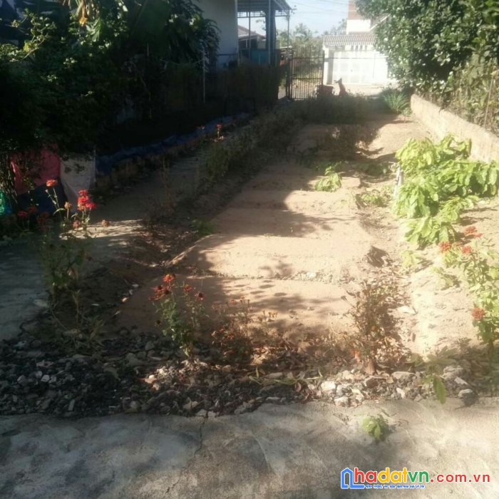 Sở hữu ngay lô đất vị trí đắc địa tại nguyễn trường tộ ea tam buôn ma thuột, đăk lăk