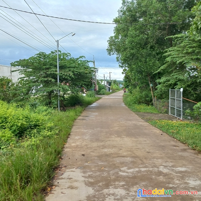 Bán 7730m đất vườn view suối xã thanh son huyện định quán tỉnh đồng nai