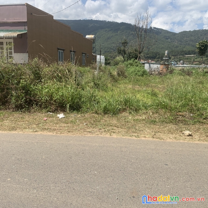 Cần bán lô đất nền đường 412, xã lạc xuân, đơn dương, lâm đồng