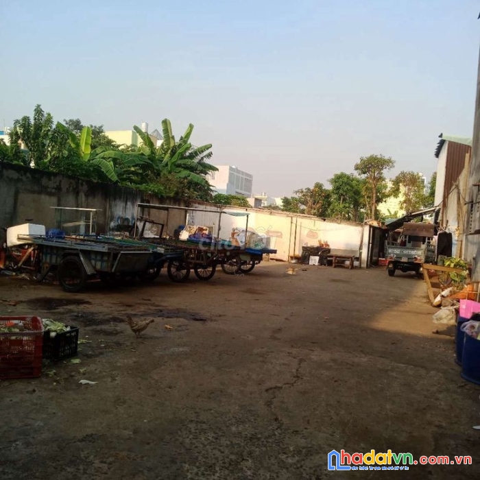 Chính chủ cần bán gấp lô đất phường bình trị đông, quận bình tân, tp hồ chí minh