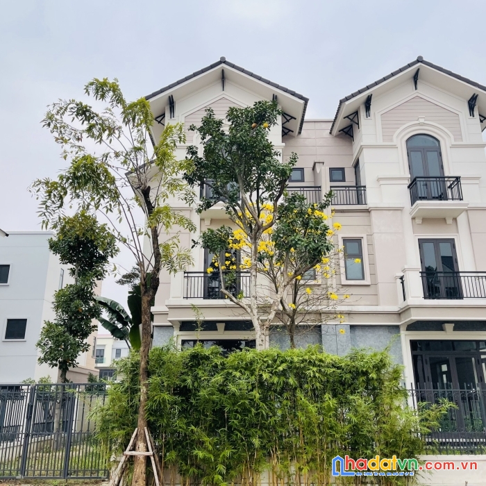 Biệt thự sân vườn 162m2 hàng hiếm đẹp như mơ tại vsip bắc ninh cách vinhome 6km