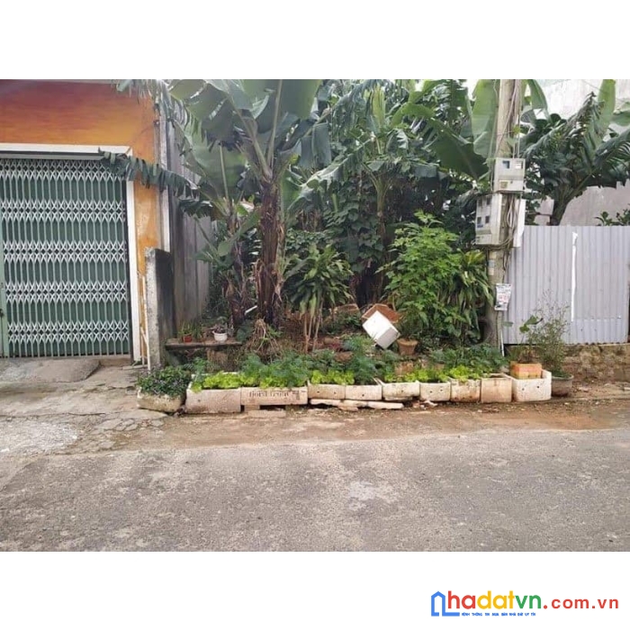 Cần tiền bán gấp đất kqh mê linh, đà lạt giá 6.5 tỷ