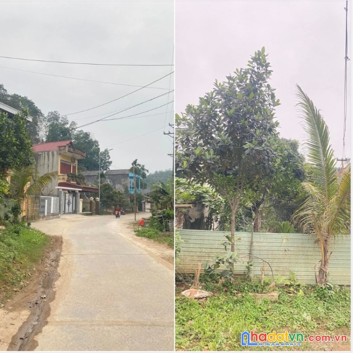 Chính chủ cần bán nhanh lô đất ở đường trương quyền - tổ 12 - phường yên ninh – tp yên bái.
