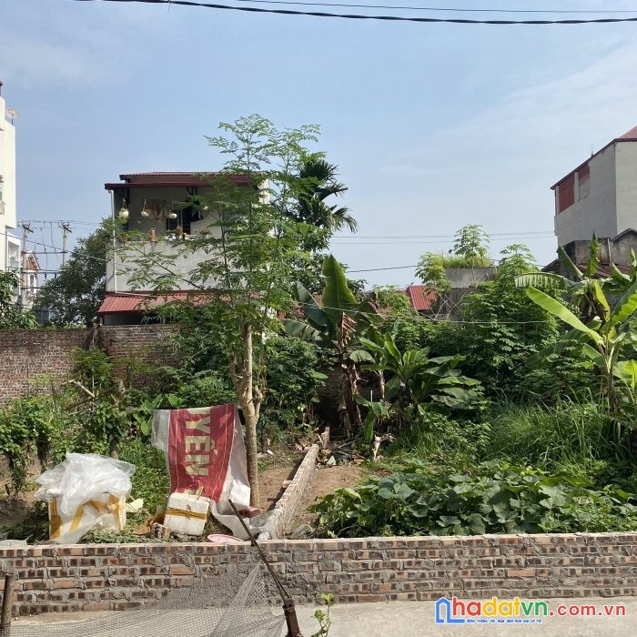Bán 46m2 tại lê xá, xã mai lâm, huyện đông anh, thành phố hà nội. đường thông gần bìa làng