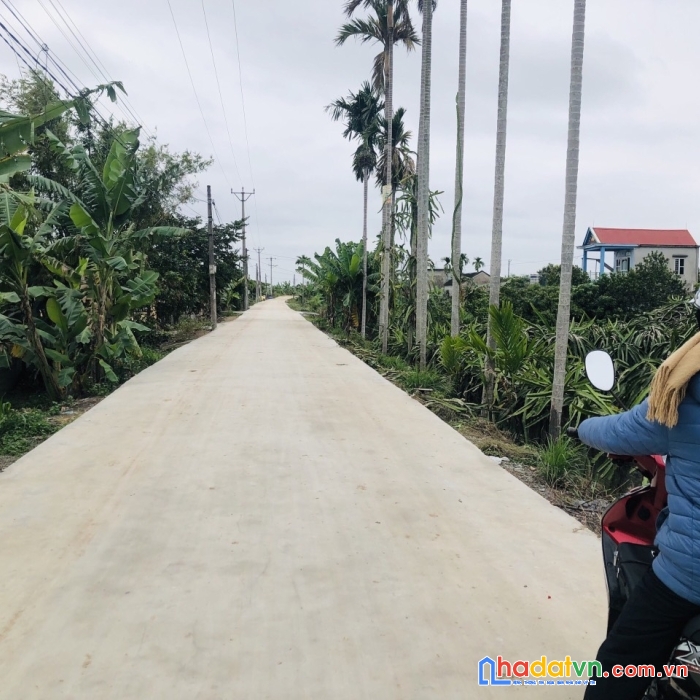 Chỉ hơn 700tr có ngay lo đất mặt đường 8m tại bát trang-an lão-hải phòng