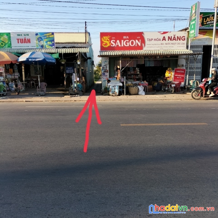 E có ông anh cần bán 1200m² đất trồng dừa đang cho thu hoạch