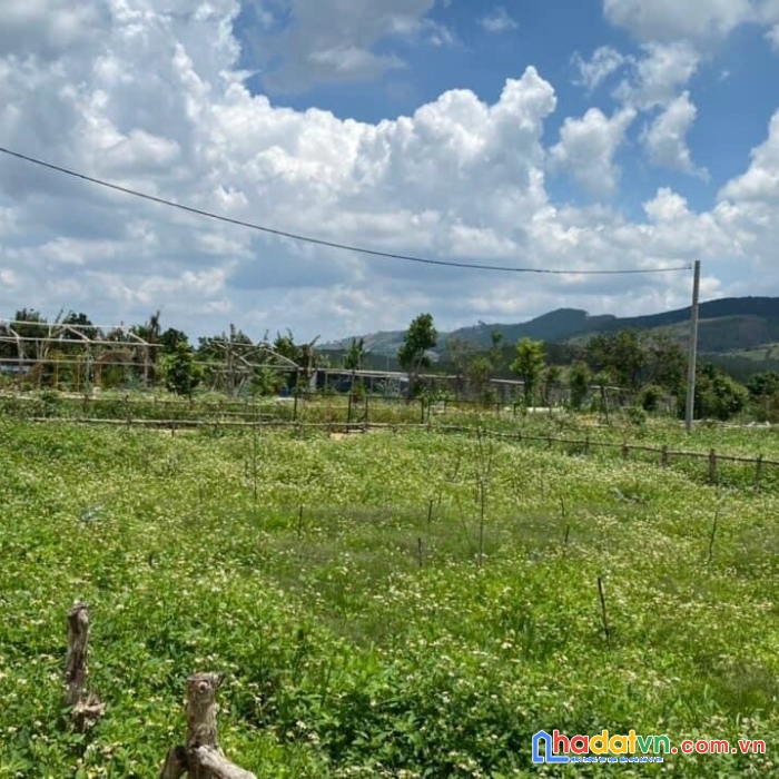 ( giá tốt đầu tư ) chỉ 2.9 tỷ - sở hữu ngay 233m2 đất nền tại tà nung, đà lạt