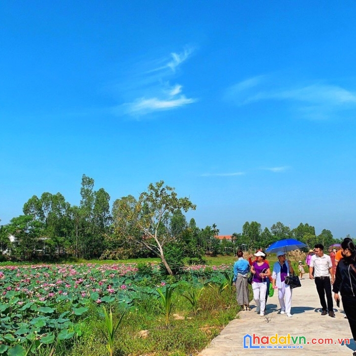 Đất view hồ sen điện tiến 104 m2 giá 570 triệu