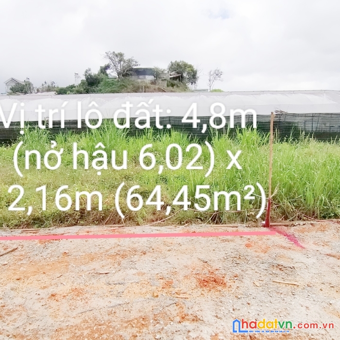 ( giảm giá bán lỗ ) bán gấp đất giá rẻ chỉ còn 710 triệu đường nguyễn đình quân, đà lạt