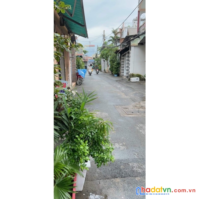 Nhà hẻm 7m lê đức thọ, p17, gò vấp 5pn dts 81m2  chỉ 3,75 tỷ